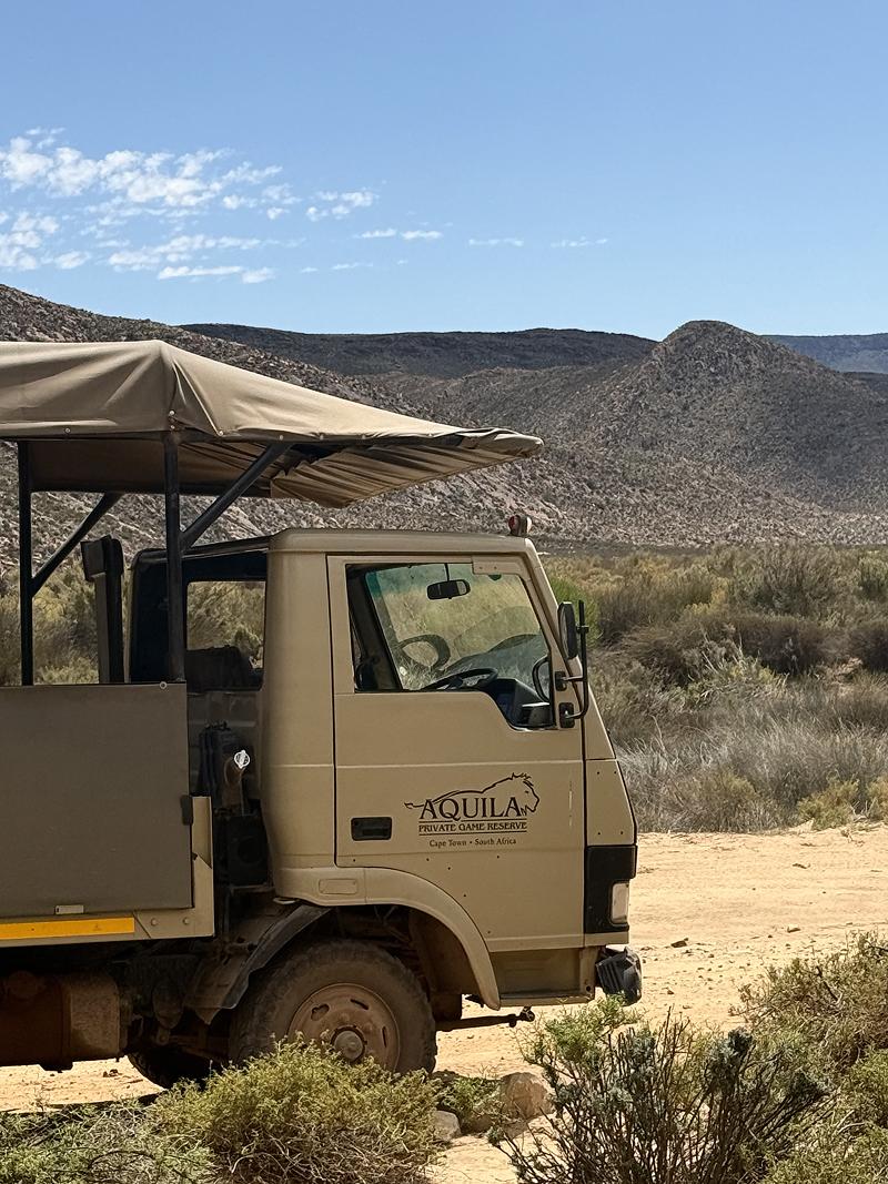Safari?